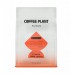 COFFEE PLANT Etiopia Gedeb Lalesa 250g
