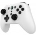 Kontroler COBRA QSP176WH white
