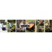 Worx Landroid Vision Cloud 600m2 4WD stereo camera, RTK, WR340E