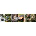 Worx Landroid Vision Cloud 600m2 4WD stereo camera, RTK, WR340E
