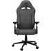 Cougar Fotel Explore Royal Gray F
