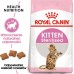 Royal Canin Kitten Sterilised karma sucha dla kociąt od 4 do 12 miesiąca życia, sterylizowanych 2 kg