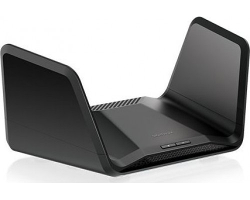NETGEAR RAXE300-100EUS