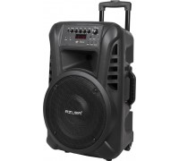 Azusa Active speaker (with 2 wireless microphones, SD, Bluetooth, USB) 12