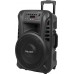 Azusa Active speaker (with 2 wireless microphones, SD, Bluetooth, USB) 12