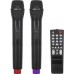 Azusa Active speaker (with 2 wireless microphones, SD, Bluetooth, USB) 12