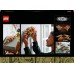 LEGO Icons Центр сухоцветов (10314)