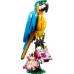 LEGO Creator 3-in-1 Eksotiskais papagailis (31136)