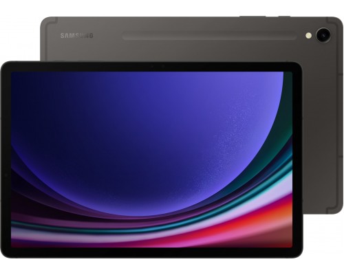 Samsung Galaxy Tab S9 11-inch 128 GB 5G Gray (SM-X716BWithAAEUE)