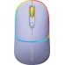 Canyon CANYON MW-22, 2 in 1 Wireless optical mouse with 4 buttons,Silent switch for right/left keys,DPI 800/1200/1600, 2 mode(BT/ 2.4GHz), 650mAh Li-poly battery,RGB backlight,Mountain lavender, cable length 0.8m, 110*62*34.2mm, 0.085kg