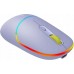 Canyon CANYON MW-22, 2 in 1 Wireless optical mouse with 4 buttons,Silent switch for right/left keys,DPI 800/1200/1600, 2 mode(BT/ 2.4GHz), 650mAh Li-poly battery,RGB backlight,Mountain lavender, cable length 0.8m, 110*62*34.2mm, 0.085kg