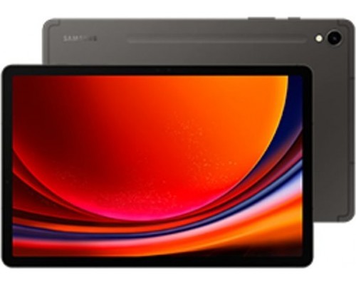 Samsung Galaxy Tab S9 11-inch 128 GB Gray (SM-X710NWithAAEUB)
