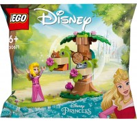 LEGO Klocki Disney Princess 30671 Auroras jautrais rotaļu laukums