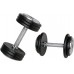 inSPORTline ‎‎Hantel ProfiST cast iron 1 x 2.5 kg