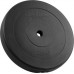 Rebel Bitumena slodze 20kg, 31mm caurums, klasiskais disks, REBEL ACTIVE  