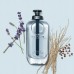 Triton Perfumy Męskie Coach EDT Open Road 60 ml