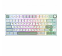 Royal Kludge RK R75 RGB