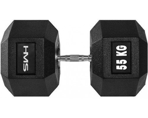 HMS Hex Pro rubberized 1 x 55 kg
