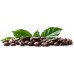 SkimaCoffee Zestaw 1kgX2 CREMA&AROMA/ROBUSTA 100% Świeżo Palona do ekspresu
