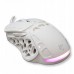 White Shark GM-5016 Ector white