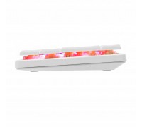 White Shark GK-006211 Nagamaki biały red switch