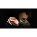 Smartwatch Zeblaze Vibe 8 Abyss (Gray)