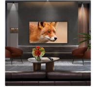LG OLED77C54LA OLED 77'' 4K Ultra HD WebOS 25