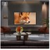 LG OLED77C54LA OLED 77'' 4K Ultra HD WebOS 25