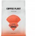 COFFEE PLANT Uganda Norman Mukuru 250g