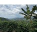 Qualia Kolumbia Huila Coferment Marakuja 200g