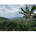 Qualia Kolumbia Huila Coferment Marakuja 200g