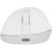 GENESIS Zircon 880 Pro  (NMG-2382)