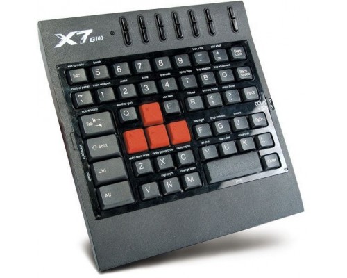A4Tech G100  (A4TKLA09634)