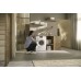 Miele WSD023 WCS