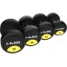 HMS HG PRO rubberized 1 x 70 kg