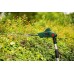 Bosch Shears rechargeable Universal HedgePole 18 Solo 43 cm