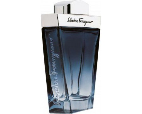 Salvatore Ferragamo Subtil EDT 100 ml