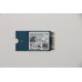 Lenovo SDK 1101 256G M.2 PCIe 2242 SS