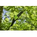 Greenworks GD60PS25 60 V 25 cm