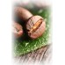 illy Arabica Selection India 250 g