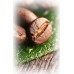 illy Arabica Selection India 250 g