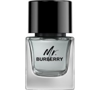 Burberry BURBERRY Mr. Burberry EDT spray 50ml