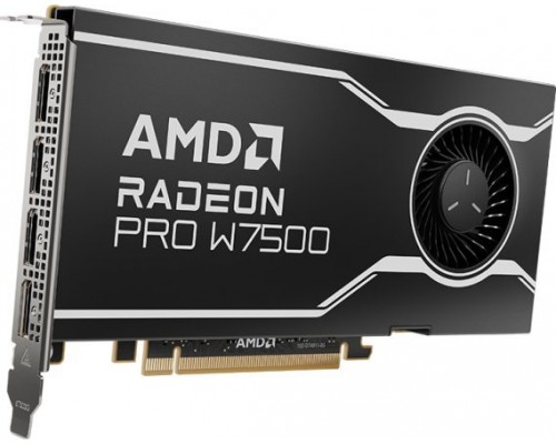 AMD Radeon PRO W7500 8GB GDDR6 (100-300000078)