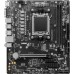 AMD A620 MSI PRO A620M-E
