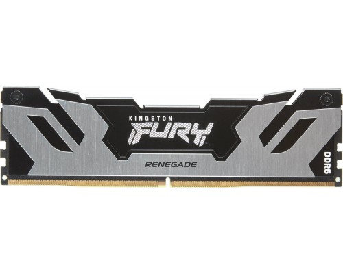 Kingston Fury Renegade, DDR5, 24 GB, 7200MHz, CL38 (KF572C38RS-24)