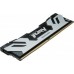 Kingston Fury Renegade, DDR5, 24 GB, 7200MHz, CL38 (KF572C38RS-24)