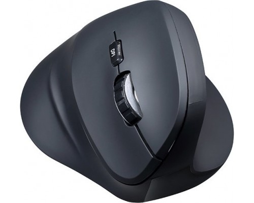 Powerton Shark (WPM11E)