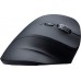Powerton Shark (WPM11E)