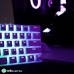 KBcustom KB61 - KBcustom - Hot Swap - Pudding Keycaps - Red Switch