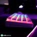 KBcustom KB61 - KBcustom - Hot Swap - Pudding Keycaps - Red Switch